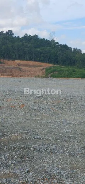 image TANAH DATAR CANTIK SUDAH MATANG SIAP PAKAI DI TEPI JALAN PULAU BALANG (3)