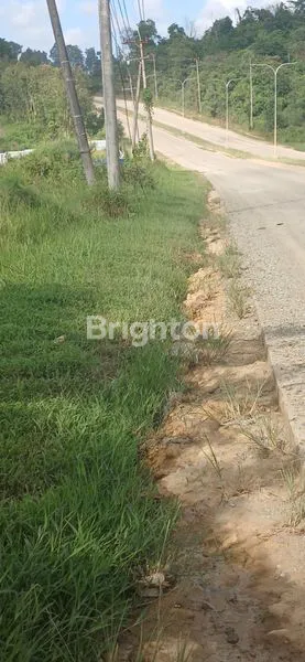 image TANAH DATAR CANTIK SUDAH MATANG SIAP PAKAI DI TEPI JALAN PULAU BALANG (5)