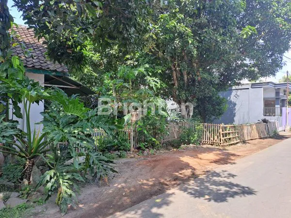 image RUMAH HITUNG TANAH DI WLINGI (1)