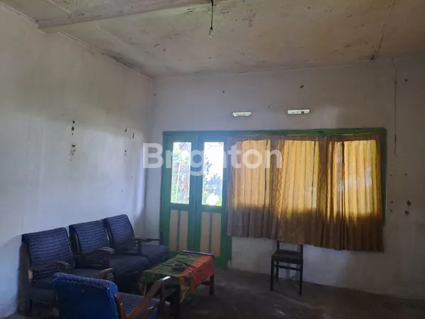 image RUMAH HITUNG TANAH DI WLINGI (2)