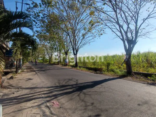 image TANAH WONOAYU (3)