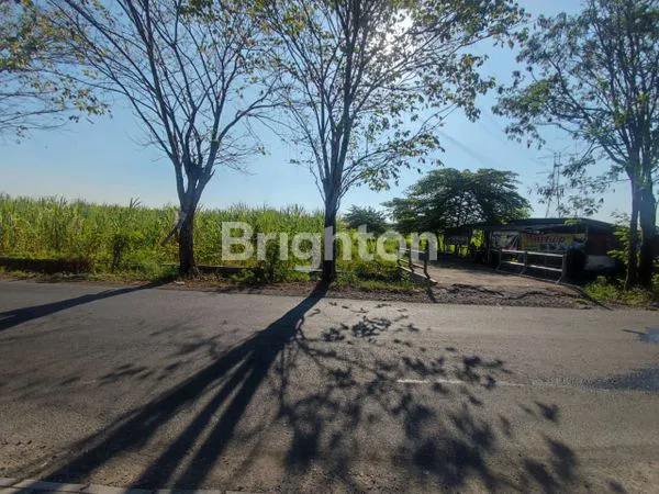 image TANAH WONOAYU (4)