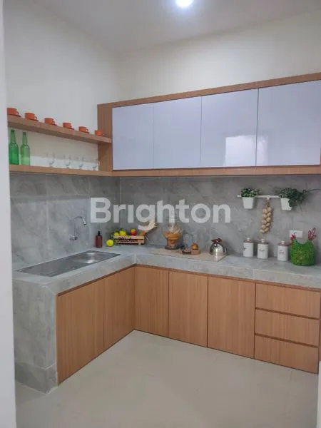 image JOHOR SUMMERVILLE (4)