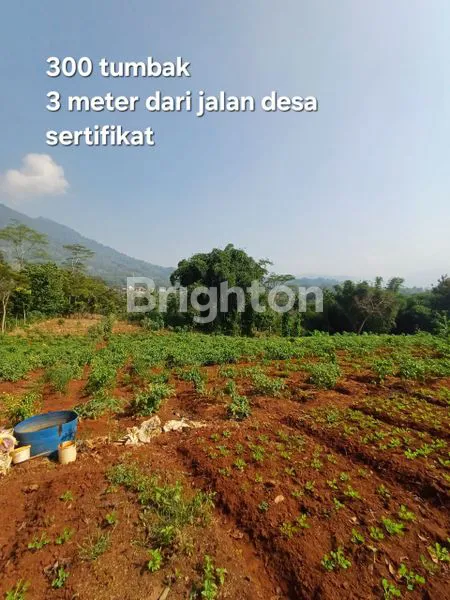 SAWAH DAN KEBUN DI GARUT