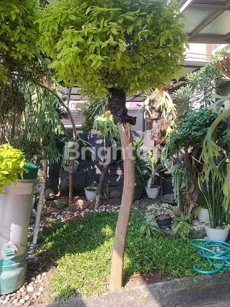 image BUTUH CEPAT LAKU  (5)