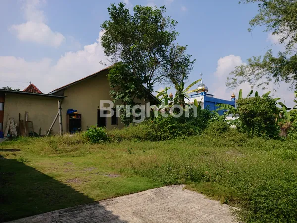 image BU!! JUAL RUMAH DENGAN TANAH PEKARANGAN YANG LUAS DI DEPAN WISATA KULINER WATOE GAJAH (3)