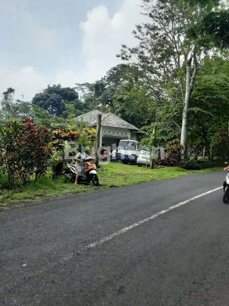 image SUKULELO PRIGEN PASURUAN TANAH COCOK BANGET DI BUAT HOTEL N VILLA (8)