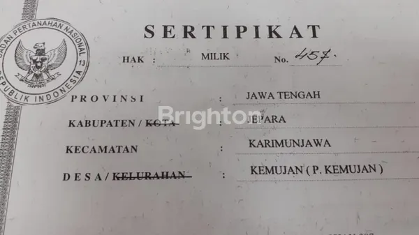 image DIJUAL TANAH PINGGIR PANTAI DI DESA KEMUJAN, KECAMATAN KARIMUNJAWA, JEPARA, JAWA TENGAH  (1)