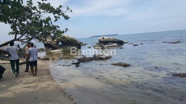image DIJUAL TANAH PINGGIR PANTAI DI DESA KEMUJAN, KECAMATAN KARIMUNJAWA, JEPARA, JAWA TENGAH  (4)