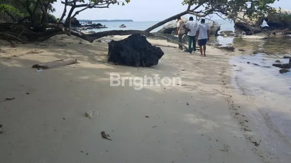 image DIJUAL TANAH PINGGIR PANTAI DI DESA KEMUJAN, KECAMATAN KARIMUNJAWA, JEPARA, JAWA TENGAH  (5)