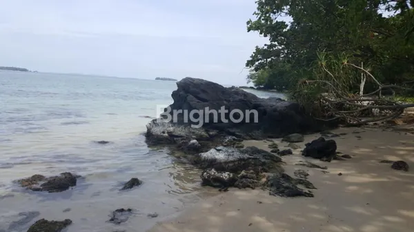 image DIJUAL TANAH PINGGIR PANTAI DI DESA KEMUJAN, KECAMATAN KARIMUNJAWA, JEPARA, JAWA TENGAH  (6)