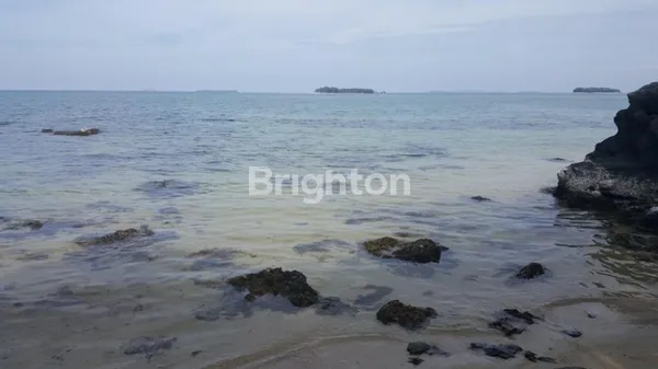 image DIJUAL TANAH PINGGIR PANTAI DI DESA KEMUJAN, KECAMATAN KARIMUNJAWA, JEPARA, JAWA TENGAH  (7)