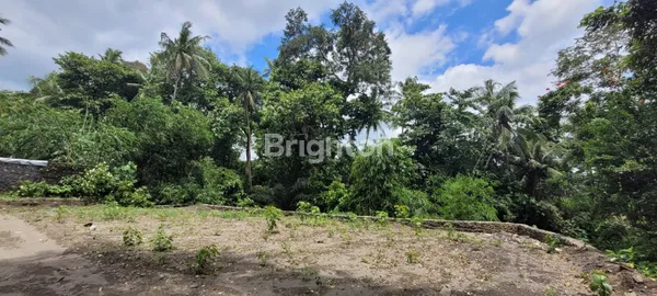 image TANAH KAVLING DI BANDULAN FOREST REGENCY (3)