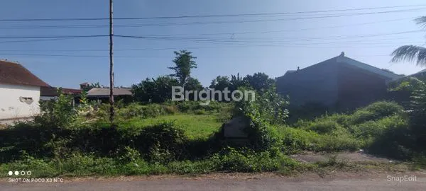image TANAH STRATEGIS DEKAT BANDARA KEDIRI, COCOK UNTUK INVESTASI (1)