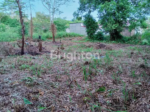 image TANAH KAVLING MANGGAR (1)