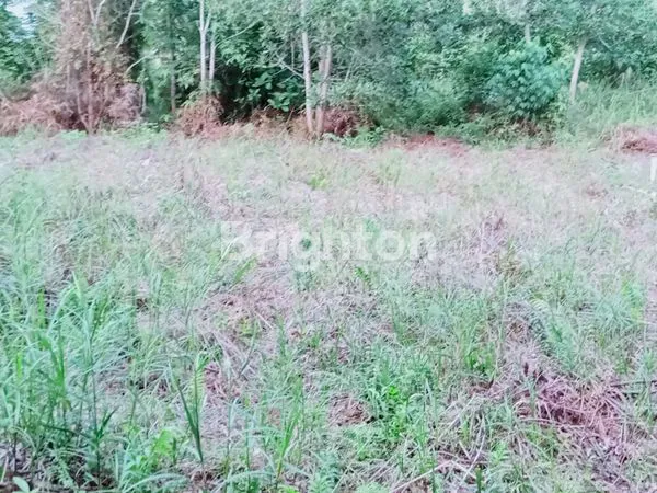 image TANAH KAVLING MANGGAR (2)