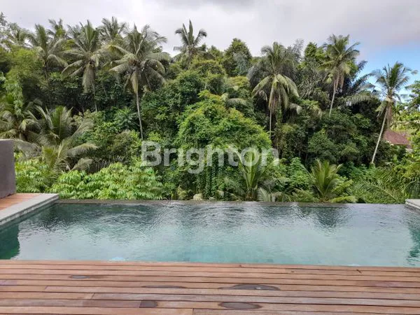 image VILLA MEWAH FULL FOURNISE VIEW DI UBUD  (3)