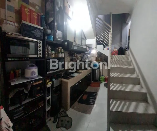 image D’SPRING OF TOMORROW (2)