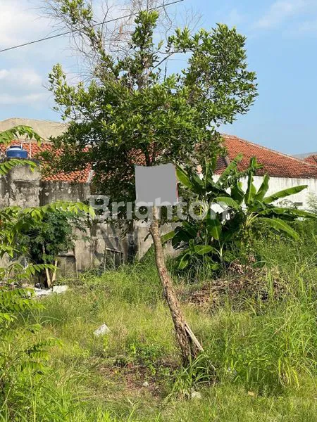 image TANAH STRATEGIS PUSAT KULINER & KOST2 AN AREA UMS (1)