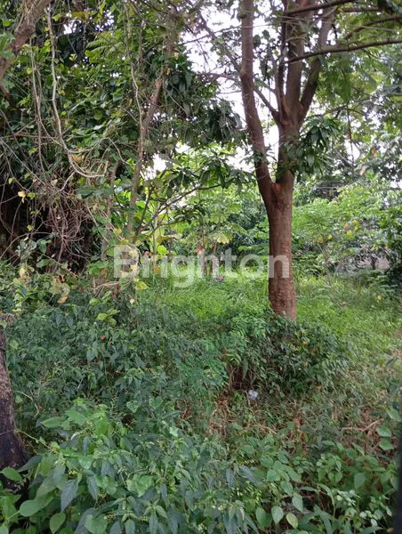 image TANAH DARAT MASUK GANG 10M DARI JALAN BOJONG JAYA KARAWACI, TANGERANG  (5)