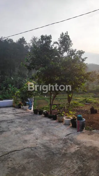 image TANAH PRODUKTIF KALONGAM UNGARAN (2)