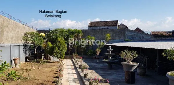 image RUKO JL SURAPATI SINGARAJA BALI (6)