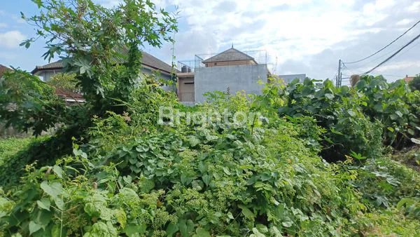 image TANAH HOOK DENPASAR TIMUR  (2)