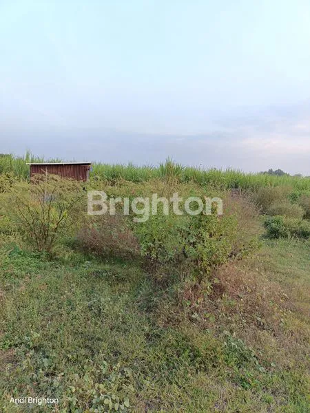 image TANAH PEKARANGAN SIAP PAKAI DI JOMBANG (2)