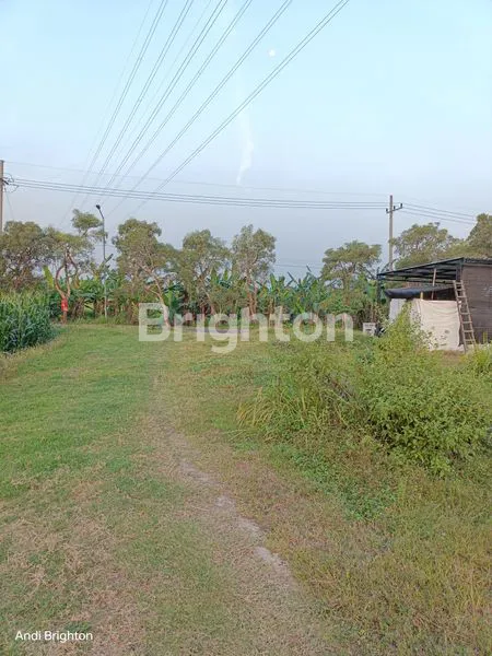 image TANAH PEKARANGAN SIAP PAKAI DI JOMBANG (4)