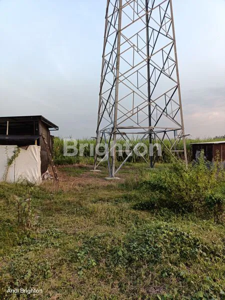 image TANAH PEKARANGAN SIAP PAKAI DI JOMBANG (8)