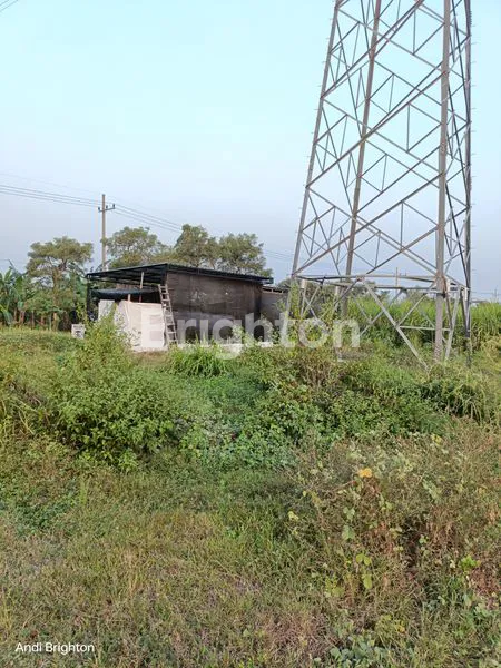 image TANAH PEKARANGAN SIAP PAKAI DI JOMBANG (5)