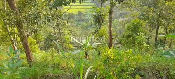 image TANAH KEBUN DI BARENG SAWAHAN NGANJUK (1)