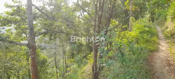 image TANAH KEBUN DI BARENG SAWAHAN NGANJUK (3)