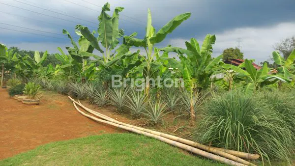 image TANAH LUAS 3 HEKTAR, COCOK UNTUK PERUMAHAN (3)