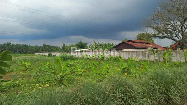image TANAH LUAS 3 HEKTAR, COCOK UNTUK PERUMAHAN (5)