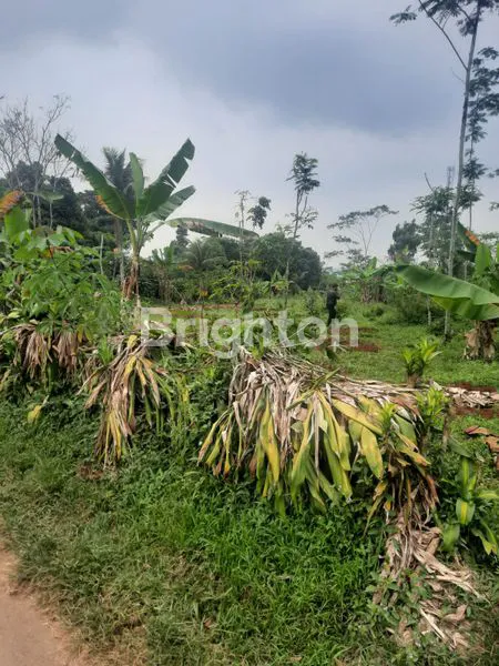 image DIJUAL TANAH MURAH DI CIKALONG WETAN. (2)