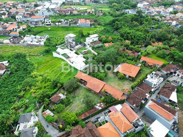 image TANAH 55 ARE DI TIBUBENENG CANGGU BALI (2)