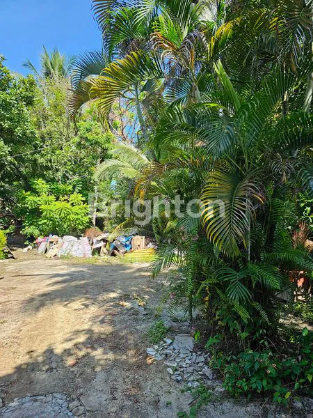 image TANAH STRATEGIS MT HARYONO BALIKPAPAN GERBANG IKN COCOK HOTEL, SHOWROOM (1)