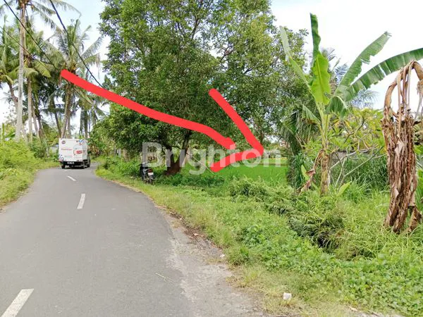 INVESTASI TANAH , LOKASI PRIMA DI JL. PERMATA PERING GIANYAR