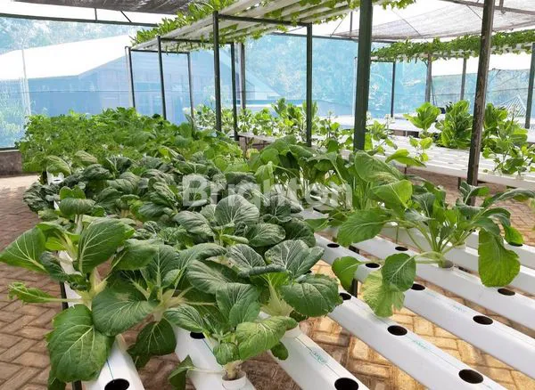 image WISATA EDUKASI & VILLA RESORT  DI PASURUAN (8)