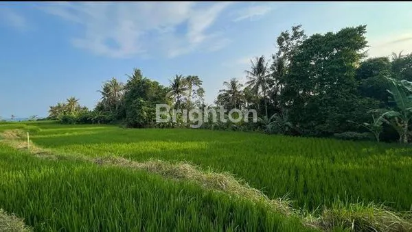 TANAH MURAH DEKAT BYPASS IDA BAGUS MANTRAAKSES JALAN KE LOKASI SUDAH BETON, PERUNTUKAN PERUMAHAN, LOKASI BLAHBATUH GIANYAR