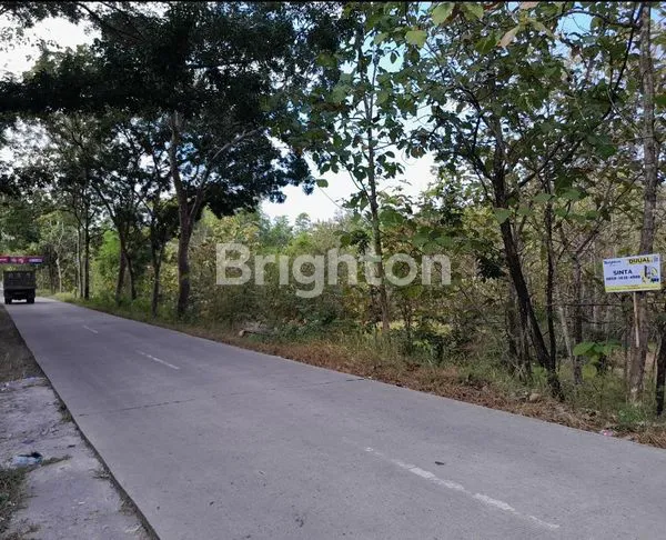 JL. WONOGIRI- KLATEN, TEPATNYA TAWANGSARI, SUKOHARJO,TANAH DEKAT TEMPAT WISATA COCOK UNTUK USAHA TEMPAT PENGINAPAN, GUDANG MAUPUN RUMAH TINGGAL