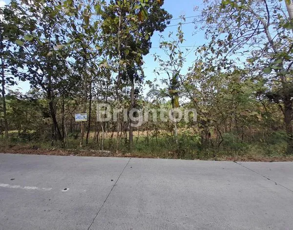 JL. WONOGIRI- KLATEN, TANAH LUAS TEPATNYA TAWANGSARI, SUKOHARJO, LOKASI AREA PEMUKIMAN PENDUDUK, DEKAT WISATA PEMANDIAN, COCOK UNTUK BERBAGAI MACAM USAHA