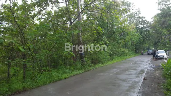 TANAH DI TAWANGSARI, SUKOHARKO, TEPATNYA JALAN ALTERNATIF  TAWANGSARI-BAYAT, LOKASI COCOK UNTUK GUDANG MAUPUN USAHA LAINNYA AREA DIPEMUKIMAN PENDUDUK