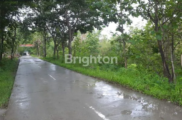 TANAH DI TAWANGSARI, SUKOHARJO TEPATNYA JL. WONOGIRI- KLATEN,AKSES JALAN 2 ARAH, DEKAT WISATA PEMANDIAN