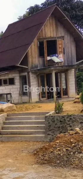 VILLA KEBUN DENGAN BANYAK POHON BUAH DI PUNCAK GUNUNG HALIMUN BOGOR