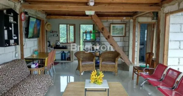 image VILLA KEBUN DENGAN BANYAK POHON BUAH DI PUNCAK GUNUNG HALIMUN BOGOR (2)