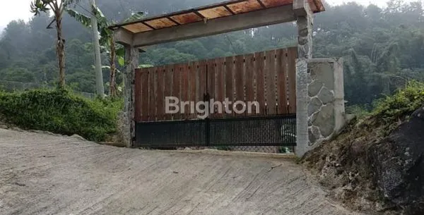 image VILLA KEBUN DENGAN BANYAK POHON BUAH DI PUNCAK GUNUNG HALIMUN BOGOR (4)