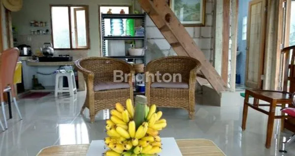 image VILLA KEBUN DENGAN BANYAK POHON BUAH DI PUNCAK GUNUNG HALIMUN BOGOR (5)