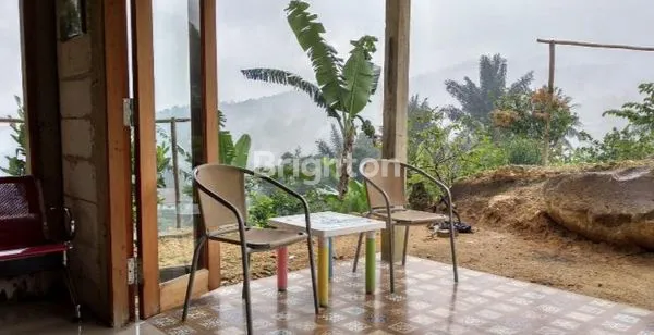 image VILLA KEBUN DENGAN BANYAK POHON BUAH DI PUNCAK GUNUNG HALIMUN BOGOR (6)